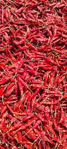 Piment rouge de qualité supérieure 339 Capsicum Annuum de qualité alimentaire Nettoyé Classé Contrôle de l'humidité Haute chaleur SHU Moyen Approvisionnement en vrac - Product Image 2