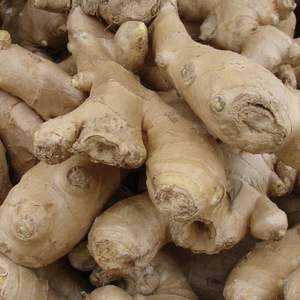 Vente en gros en vrac Fabricant de mendiants Distributeur Marque privée Fournisseur de clous de girofle Vente en gros Fournisseur en gros de clous de girofle - Product Image 5