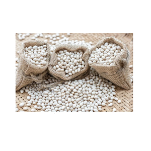 ถั่วไตสีขาวบริสุทธิ์สูงสำหรับผู้ซื้อทั่วโลก - Product Image 3