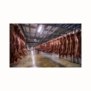 Carne de cerdo congelada lista para enviar cualquier puerto de su elección de alta calidad carne de cerdo congelada disponible carne de cerdo congelada cortada en 4 vías - Product Image 5