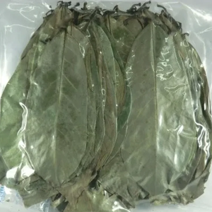 ผงใบทุเรียนเทศแห้งสกัดจากใบ - Product Image 1