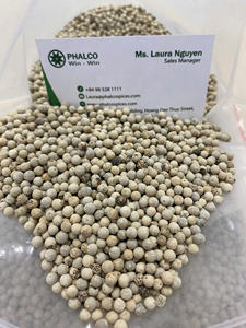 Poivre Blanc du Vietnam 630GL Épices Naturelles Exportation, Épices Propres au Prix d'Usine de Phalco - Product Image 2