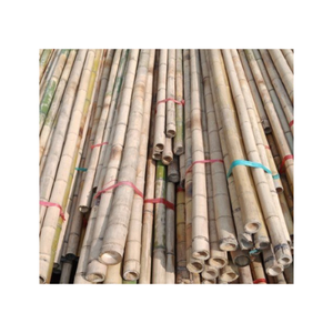 Poteau en bambou-Canne en bambou droite sèche naturelle pour la construction avec approvisionnement de grande taille en vrac du Vietnam - Product Image 1