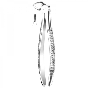 ENGLISH PATTERN FORCEPS - Product Image 4