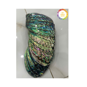 Concha de abulón Vietnam Material oceánico natural de alto grado para joyería decorativa con incrustaciones y mercado de exportación mayorista mundial - Product Image 6