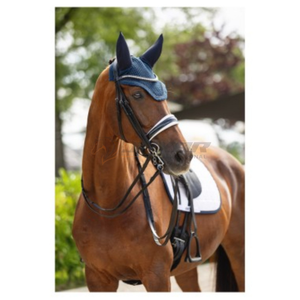Brida y cabestro de cuero para caballo de calidad superior diseñados en estilo clásico de silla inglesa para profesionales y competidores. - Product Image 2