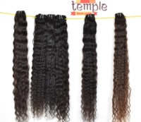 Cheveux Indiens Remy 100% Naturels Non Traités, Cuticules Alignées, Double Trame Faite à la Machine, 100g, Ondulation Profonde Lâche, Pointes à Tissage Simple