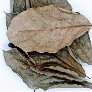 HOJAS DE AGUACATE ECOLÓGICO PARA TÉ Y SORTEO - Product Image 6