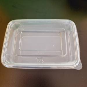 BPA ฟรีผู้ผลิต550 750 650 1000มล. กล่องพลาสติกสี่เหลี่ยมใสสำหรับอาหารผลไม้พลาสติก PP 2025ขายดี - Product Image 2