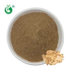 Natural Dong Quai Angelica Root Extract Powder