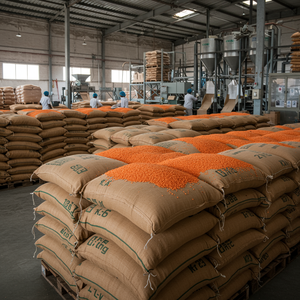 Precio de fábrica Lentejas Rojas listas para exportar Lentejas Rojas procedentes de granjas agrícolas de calidad - Product Image 2