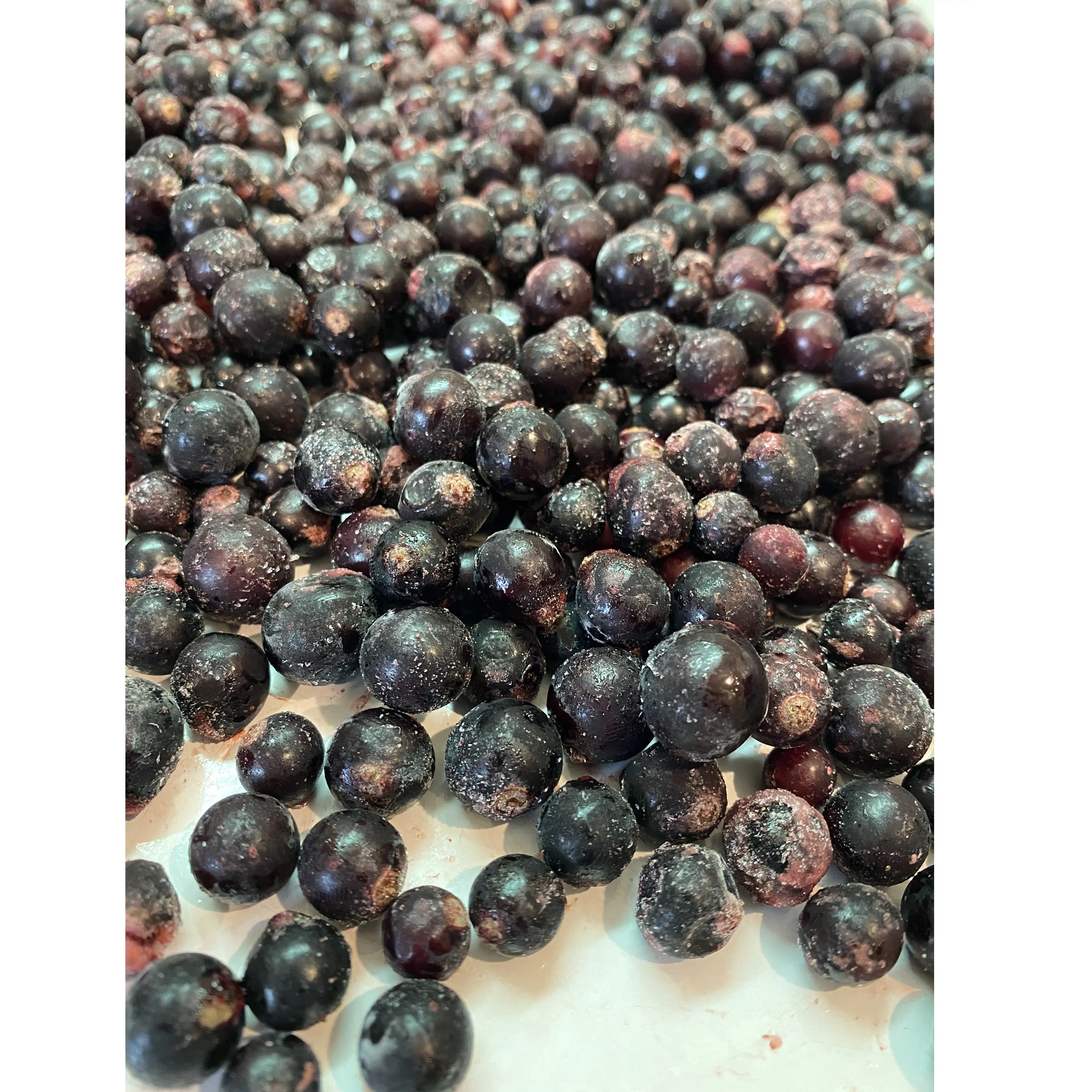100% Natural Products Food Grade Frozen Berries Organic IQF Box Bag Packaging Frozen Fruit Black Currant