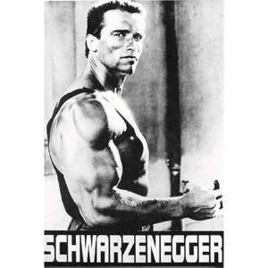 Poster de style moderne Arnold Schwarzenegger pour décoration murale - Product Image 1