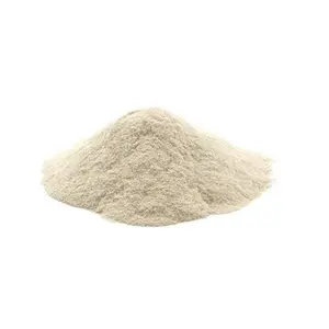 Super Selling Guar Gum Powder with Customized Packing Available Guar Gum Powder For Sale By Exporters