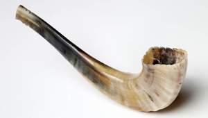 Shofar traditionnel en corne de bélier naturelle pour Rosh Hashanah et Yom Kippur, casher, écologique, décoration de fête, poli et à bas prix - Product Image 2