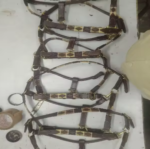 Équipement d'équitation en cuir pour cheval licou style polo - Product Image 3