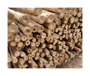 Prix de gros de poteaux de bambou approvisionnement en vrac disponible-poteau de bambou de haute qualité pour le criblage de clôture AMD 99 données d'or - Product Image 3