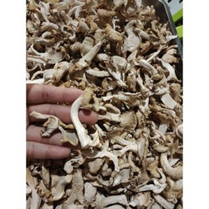 Seta de ostra blanca deshidratada de origen crudo al por mayor y a buen precio para alimentación - Product Image 6