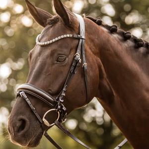 Bride anatomique de haute qualité en cuir véritable Bride de cheval FABRICANT Bride de cheval MEILLEUR cuir véritable de haute qualité - Product Image 6
