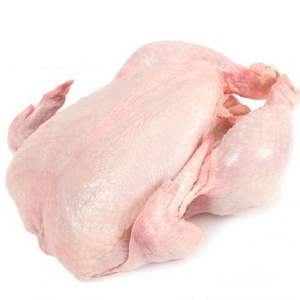 Pollo Entero Congelado Halal de Primera Calidad, Cortes de Pechuga de Pollo - Producto de Pollo al por Mayor de Brasil - Product Image 1