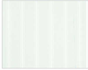 Tenda per Doccia in PVC Fantasia 8000 Bianca cm. 180x200 H - Product Image 1