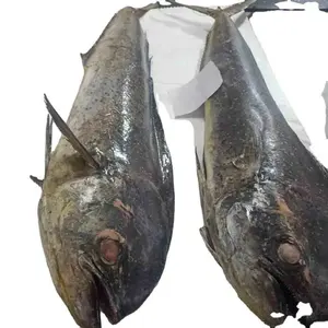 バラマンディ魚冷凍フィレット供給のバルク輸出業者