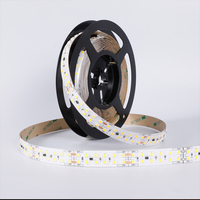 Bande lumineuse LED SMD 2835 48V en option, étanche IP20/IP65/IP67, largeur 10mm, découpe 40M/rouleau
