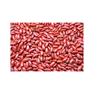 Suministro a granel de frijoles enlatados de salmuera pelada adecuados para catering y fabricación - Product Image 1