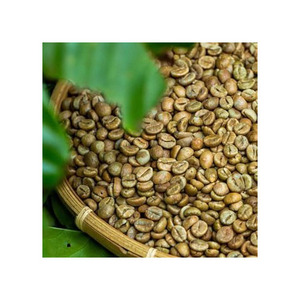 ผงกาแฟเขียวจากพืช ยูกันดา-โรบัสต้า เอสซี 15 บริสุทธิ์ 100% สำหรับอุตสาหกรรมอาหาร สำหรับการแปรรูปเครื่องดื่มเชิงพาณิชย์ สำหรับธุรกิจ B2B - Product Image 3