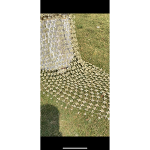 Voile de mariée long style Merram Sheesh Pushida avec appliques en dentelle perlée et sequins pour mariages et fêtes - Product Image 2