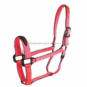 Double <b>Thick</b> Heavy Duty Premium Nylon Horse Halter in Many Colors and Custom Sizes With Nickel or Brass Variant Hardware - Product Image 5