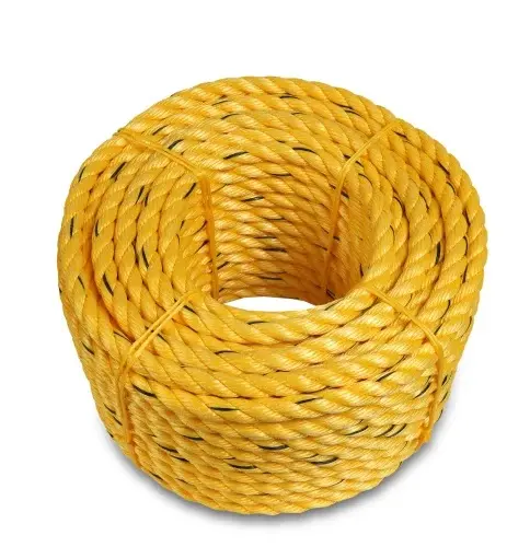 Corde durevoli Danline in PP 3 e 4 fili da 1.5mm a 45mm di diametro per l'imballaggio agricoltura uso marino personalizza il colore