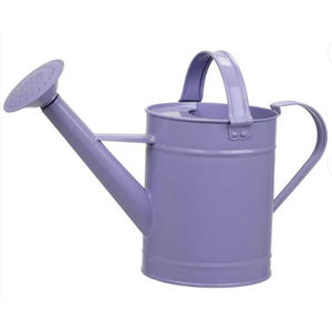 Arrosoir en métal Seau d'arrosage pour jardin intérieur et extérieur Dernier bidon d'eau design avec poignée à bon prix - Product Image 1