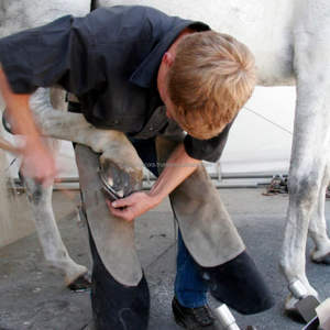 Las mejores pinzas para herradores Farrier Horse Hoof Nipper Trimmer Half Rounded Cutter Instrumentos veterinarios de acero inoxidable - Product Image 6