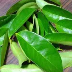 ใบทุเรียนเทศแห้ง: ส่วนประกอบที่มีกลิ่นหอมตามธรรมชาติสำหรับสูตรเฉพาะ - Product Image 2