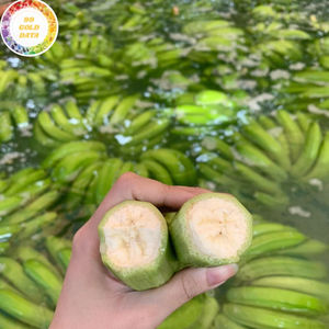 กล้วยสด 13 กก. บรรจุกล่อง สำหรับส่งออก ผลิตจากฟาร์มผลไม้เขตร้อน สำหรับขายปลีก จากเวียดนาม 99 โกลด์ ดาต้า - Product Image 1