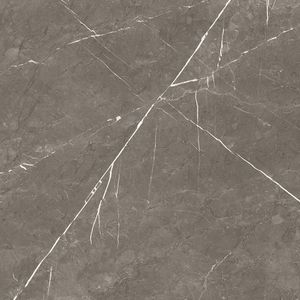 Descubre la belleza atemporal con los azulejos de porcelana de 600x600 mm elaborados en India. Descubre el diseño moderno con azulejos de calidad atemporal. - Product Image 4