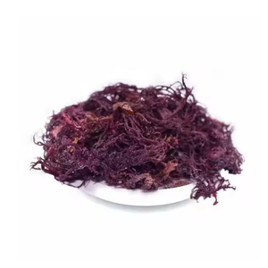 High Quality Best Price Dried Seamoss Wildcrafted Sea Moss with OEM Packaging from Vietnam - Product Image 2
