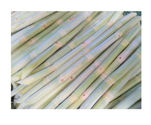 Caña de azúcar congelada de origen vietnamita: natural y refrescante para bebidas y batidos. - Product Image 1