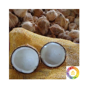 Coco maduro semi descascarillado fresco Ideal para bebidas de cocina de agua de coco rico Suministro a granel con carne blanca y textura firme - Product Image 5