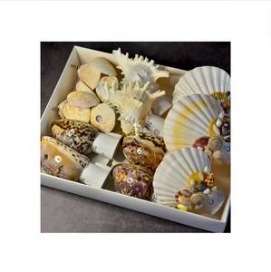 NORMADIC STYLE SEA SHELL SLEEPING LIGHT VIETNAM HECHO A MANO SEA SHELL SLEEPING LIGHT PARA EL MEJOR DORMIR DISEÑO CREATIVO EXQUISITO - Product Image 4