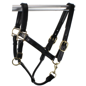 Nouveau design personnalisé de produits de licou en cuir cousu pour chevaux fabricants de licous OEM d'équitation haut de gamme - Product Image 4