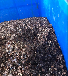 Cáscara de Anacardo de Alta Calidad para Extracción de Aceite y Alimentación - Product Image 5