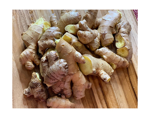 Exportation de gingembre sec de haute qualité à bon prix Nouveau gingembre frais et propre en gros avec écart mondial Expédié sous une semaine - Product Image 4