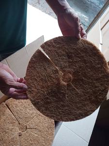 El mejor disco de coco de Vietnam: totalmente natural, biodegradable para plantar, exportación directa de proveedores de confianza para uso global - Product Image 3