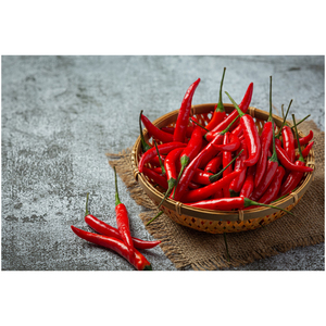 Piment rouge séché au soleil 100% naturel, frais de la ferme, d'Inde, transformation brute, saveur et arôme maximum, épice unique, qualité alimentaire, 25 kg - Product Image 2