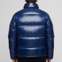 Blouson Bomber en Nylon Brillant Tendance pour Homme avec Fermeture Éclair, Col Rabattable, Logo Imprimé Personnalisé sur le Devant, Imperméable, Coupe-Vent et Respirant