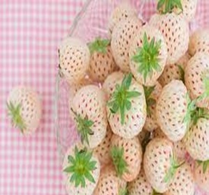 Emballage personnalisé Fraises et baies fraîches provenant de la ferme à prix modérés - Product Image 6