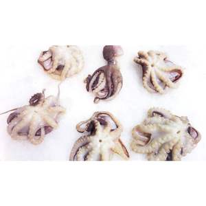 ปลาหมึกแช่แข็งทั้งลูกปลาหมึกแช่แข็ง - Product Image 1