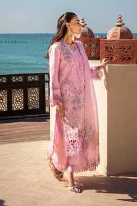 Collection de robes pour femmes en matériau romain de style indien et pakistanais avec broderie du Pakistan - Product Image 6